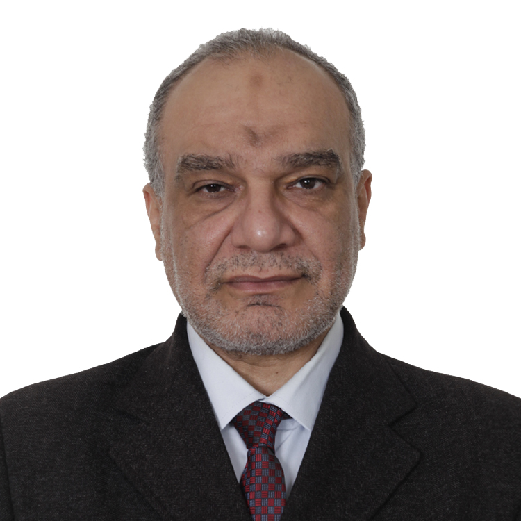 Mohamed Ghanem